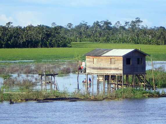 canoe kayak brazil amazon river expedition sportscene manaus