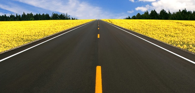 canoe kayak sportscene club talent progression drop out money members luuk van veldhoven coaching athletes training