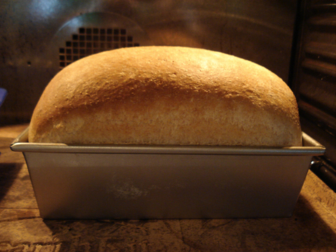 Gabriel Beauchesne-Sevigny canoe kayak canada athlete quebec baking bread sportscene icf