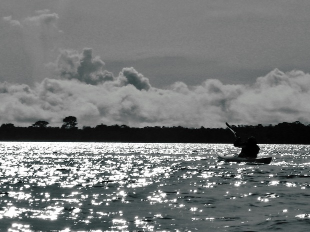 canoe kayak brazil amazon river expedition sportscene manaus