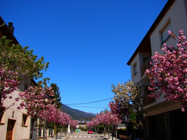 ursa kragelj canoe slalom kayak slovenia training psychology sport sportscene icf blog athlete