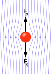 canoe kayak paddlesports surface performance boat finish sportscene speed effect flow icf 