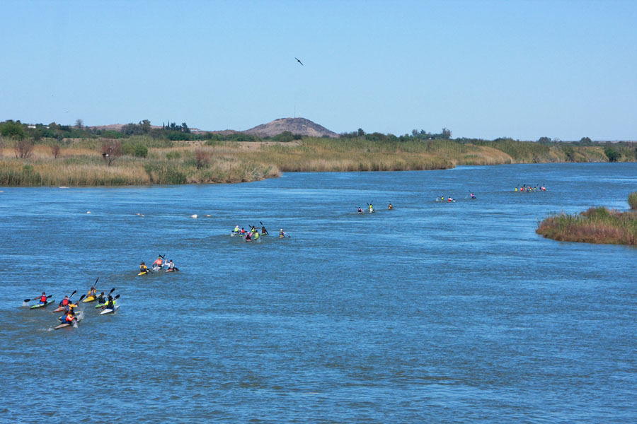 canoe kayak kalahari 2015 marathon south africa competition sportscene results day 1