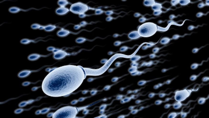 canoe kayak paddlesports water pika virus rio health mosquitos sportscene icf ioc advice 