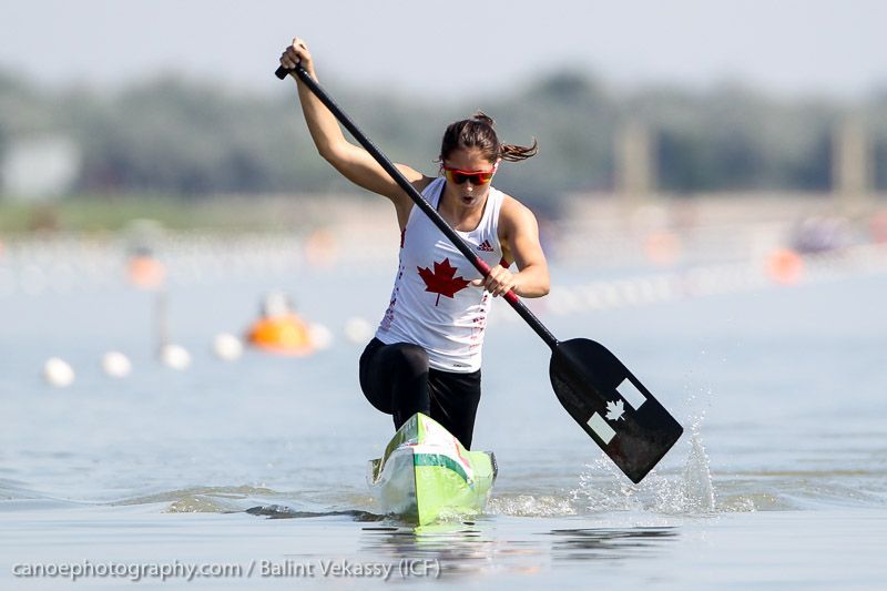 canoe kayak sprint 2014 icf world championships szeged hungary junior u23 under 23 sportscene results competition