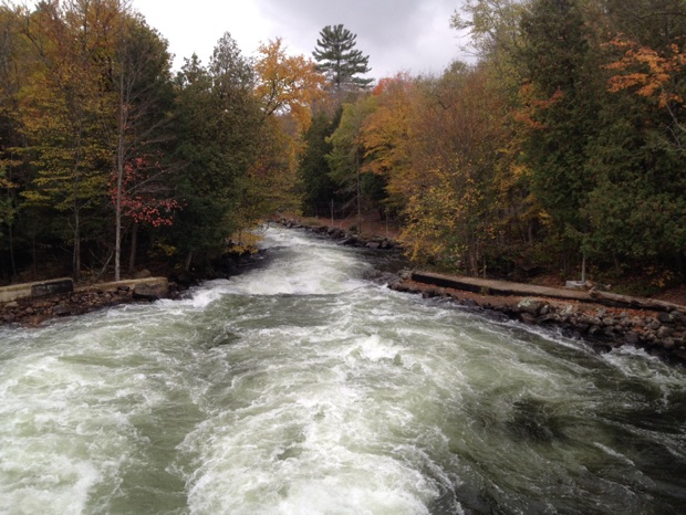 canoe kayak slalom pan am toronto 2015 games #TO2015 icf gull river sportscene minden canada 