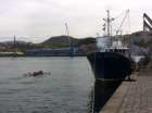 The port flatwater is shared with local rowers