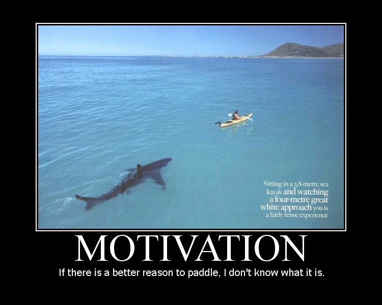 canoe kayak training mental sport psychology mental coaching performance1 motivation sportscene icf jonathan males sport